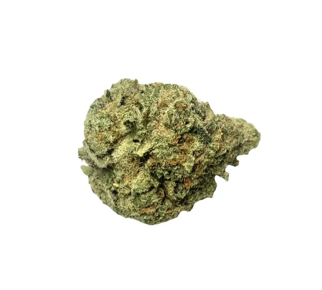 Sky High Exotics
