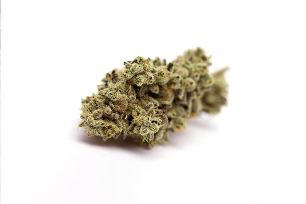 Sky High Exotics