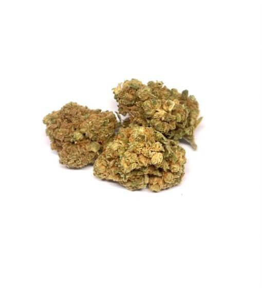 Sky High Exotics