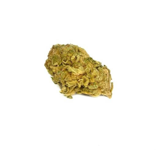 Sky High Exotics