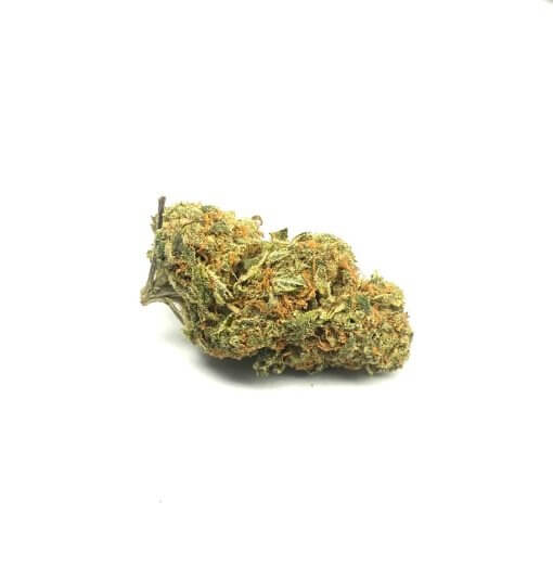 Sky High Exotics