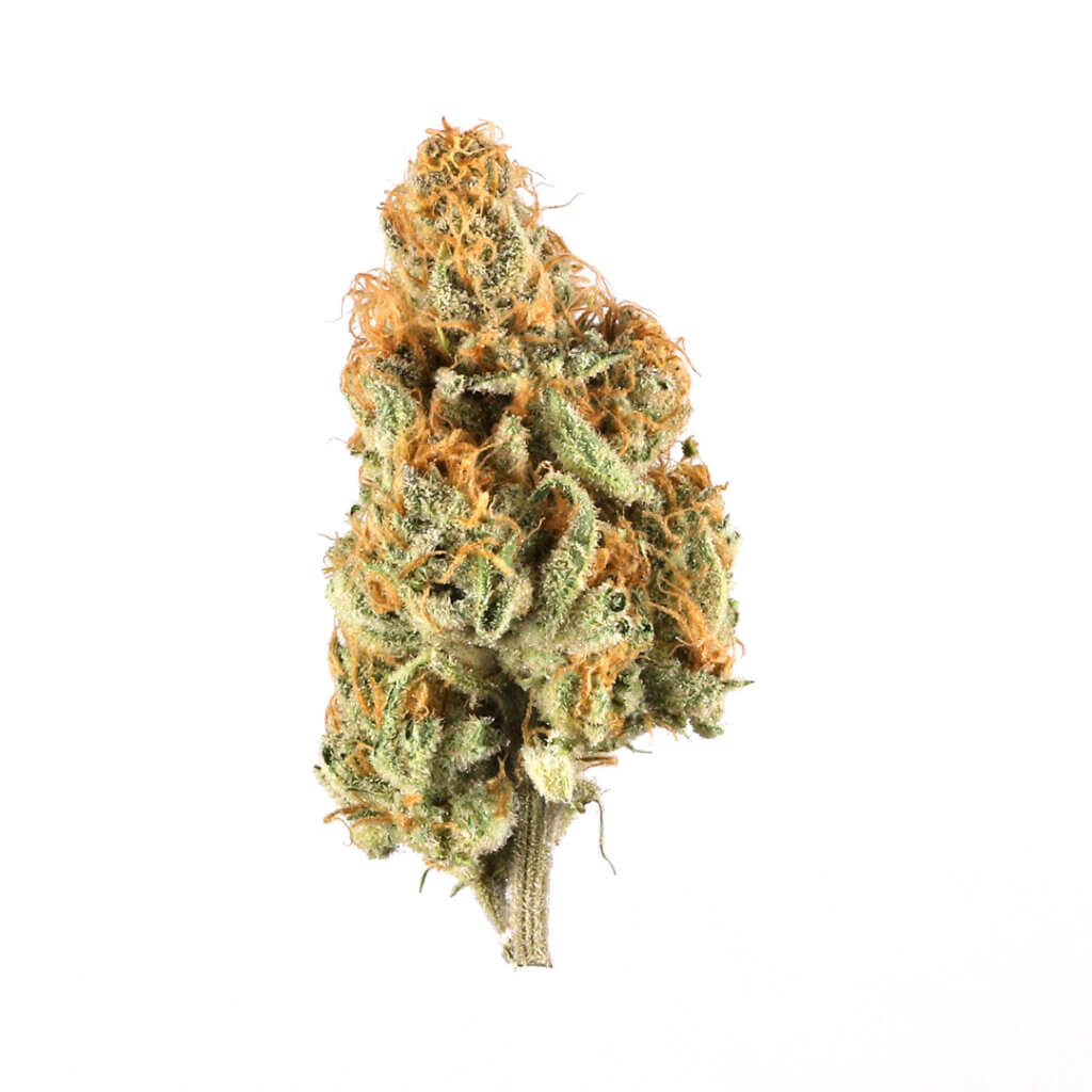 Sky High Exotics