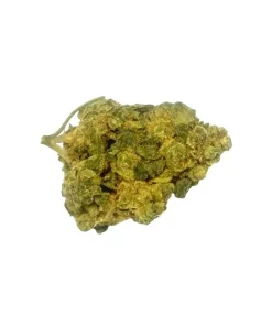 TEA CUP - HYBRID - SUN GROWN (28g)