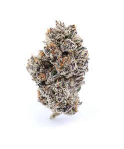 GRAPE FRITTERS - HYBRID - AAAA (28g)