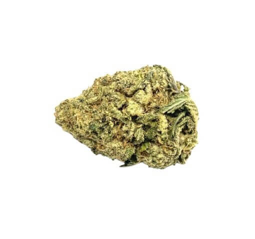 Sky High Exotics