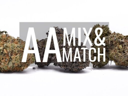 AA QP MIX AND MATCH