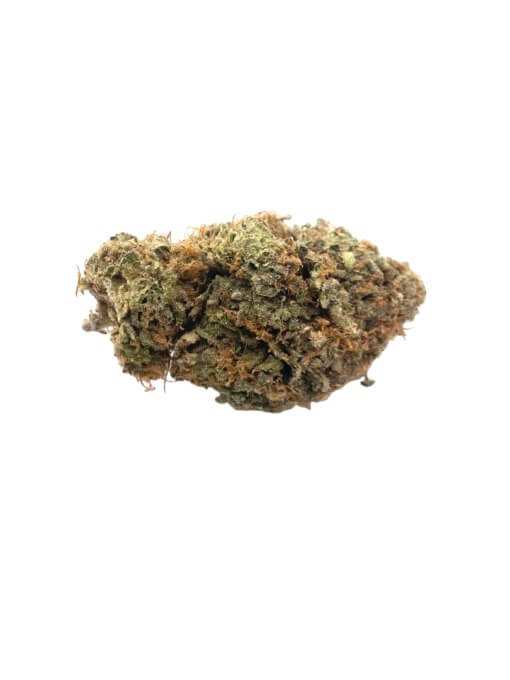 Sky High Exotics