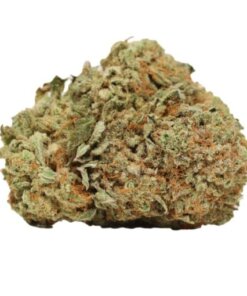 HINDU KUSH - INDICA - AAA (BULK)