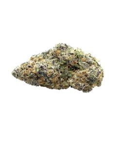 TROPICANA SLURPEE - HYBRID - AAAA (28g)