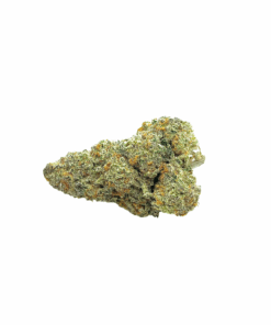 SPACE QUEEN - HYBRID - AAAA (28g)