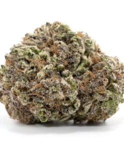 MENDOCINO PURPS - INDICA DOMINANT HYBRID - AAA (BULK)