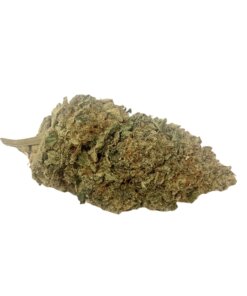 ACDC - SATIVA DOMINANT HYBRID - HIGH IN CBD