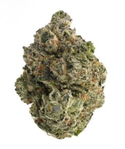 EL MUERTE - INDICA DOMINANT HYBRIC - AAA (BULK)