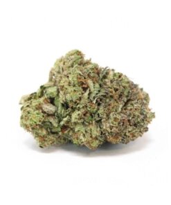 NORTHERN LIGHTS - INDICA - AAA (BULK)