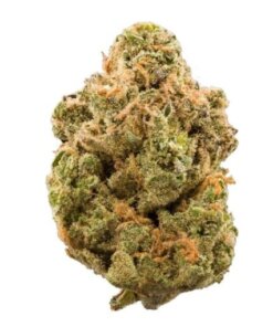 CANDY KUSH - INDICA DOMINANT HYBRID - AAA (BULK)