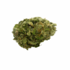 GAS BERRY - INDICA DOMINANT HYBRID - AAA
