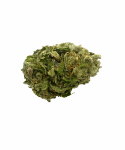 GAS BERRY - INDICA DOMINANT HYBRID - AAA