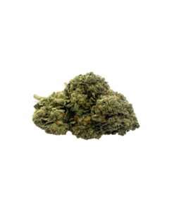 CEREAL MILK - HYBRID - AAA/SMALL NUG