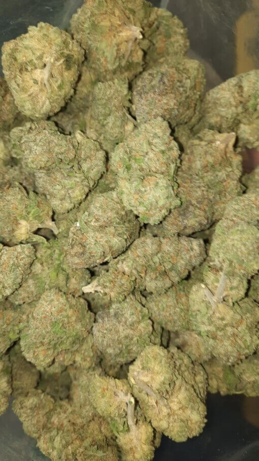 Sky High Exotics