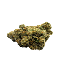 APPLE FRITTER - HYBRID - AAA (28g)