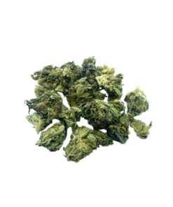 CREAMSICLE KUSH - SATIVA DOMINANT HYBRID - AAA (28G)