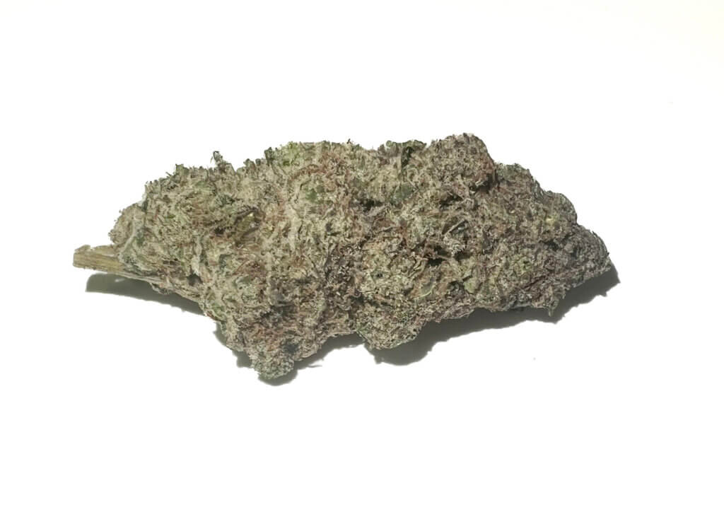 Sky High Exotics