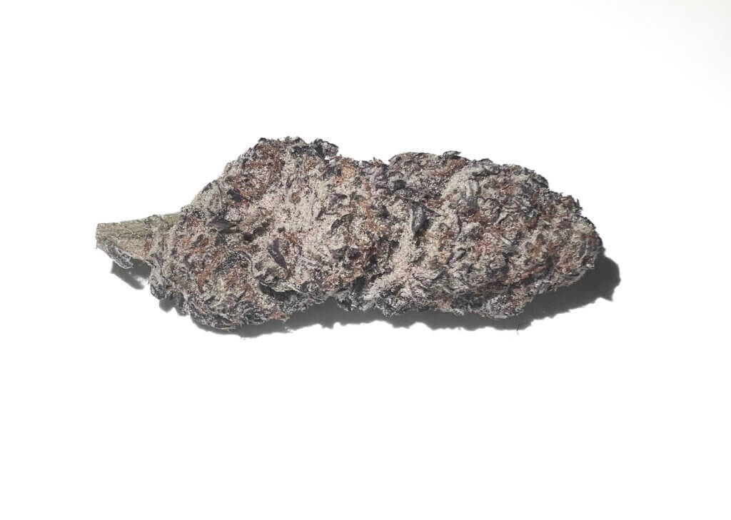 Sky High Exotics