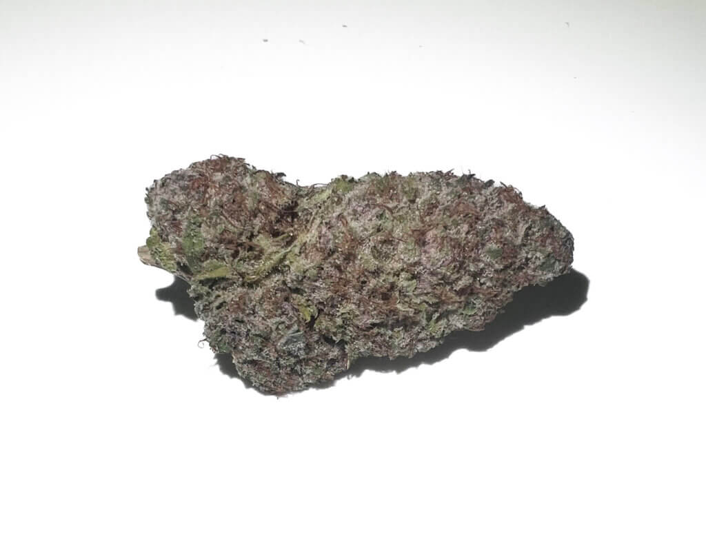 Sky High Exotics