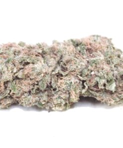 STRAWBERRY GARY - SATIVA DOMINANT HYBRID - AAA