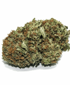 PURPLE KUSH - INDICA - AAA