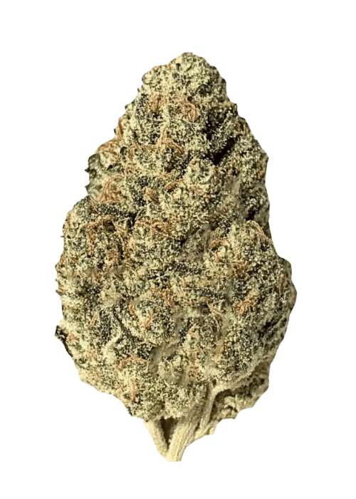 APPLE KUSH MINTS - HYBRID - AAAA (28g)