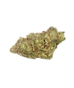 JET FUEL GELATO - SATIVA DOMINANT HYBRID - AAAA (28g)