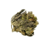 DURBAN POISON - SATIVA - AAA (28G)