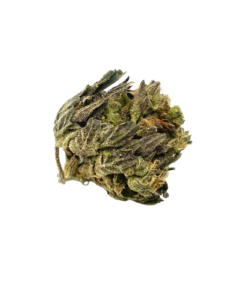 DURBAN POISON - SATIVA - AAA (28G)