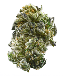 PERMANENT MARKER - INDICA DOMINANT HYBRID - AAA (28G)