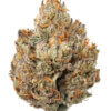 Mandarin Cookies (AAAA) (28g)