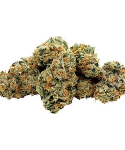 M7-  HYBRID - AAAA (28g)