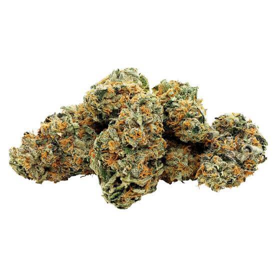 M7- HYBRID - AAAA (28g)