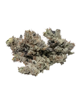 EL CHAPO - INDICA DOMINANT HYBRID - AAAA (28G)