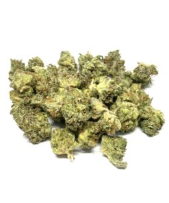 PURPLE AFGHAN - SMALL NUG - AA