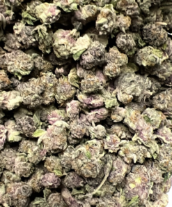 PURPLE THUG - SMALL NUG - AA