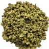 ROMULAN - INDICA - SMALL NUG